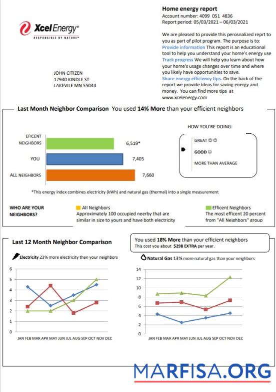 Printable USA Minnesota Xcel Energy utility bill template in Word and PDF format (.doc and .pdf)
